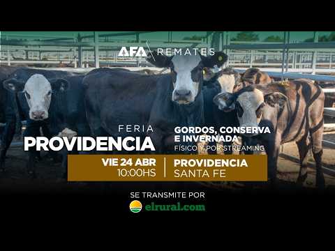 Remate AFA Gordos, Conserva e Invernada desde Providencia Santa Fe