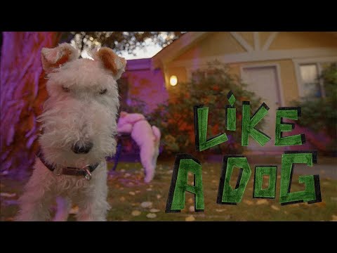 Ayla Tesler-Mabé - Like A Dog (Official Video)
