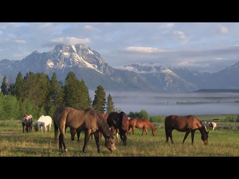 Triangle X Ranch - Jackson Hole, Wyoming