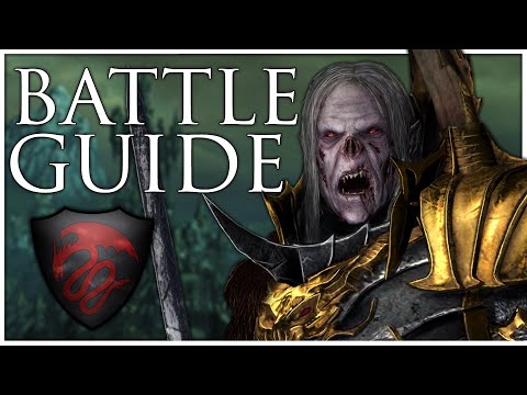 Vampire Counts Immortal Empires Battle Guide | Total War Warhammer 3