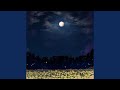 Moonlight Flower (Feat. EunU)