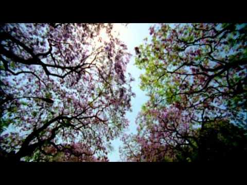 Madonna - Light (I'm Going To Tell You A Secret / IGTTYAS)