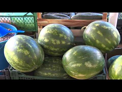 Cene na gradskoj pijaci