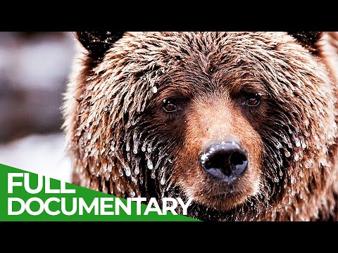 Wild Canada: The Wild West