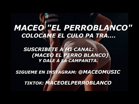 Una venezolana me dijo vamos a bailar (letra) Maceo El Perro Blanco   Colocame El Culo Pa Tra