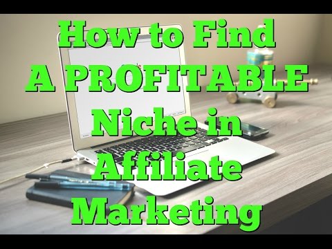 How To Find A Profitable Niche For Your Website | Best Way To Make A Money Online