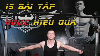 Nguyễn Ho&agrave;ng Gym | 15 B&agrave;i Tập Ngực hiệu quả d&agrave;nh cho D&acirc;n Tập Gym