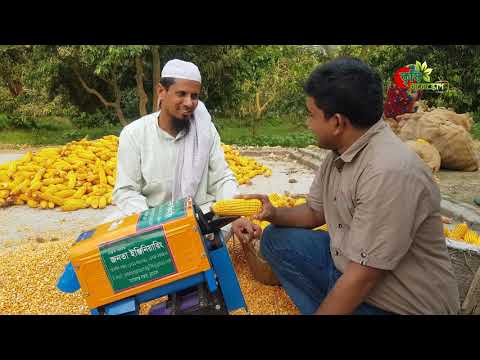 Mini corn thrasher-ভুট্টা মাড়ানো চমৎকার ছোট্ট মেশিন-Made in Bangladesh