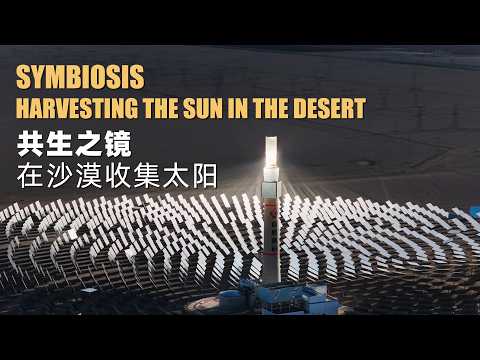 Symbiosis | Harvesting the Sun in the Desert