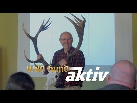 "How to approach red deer correctly - Approach seminar with Burkhard Stöcker"