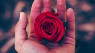 Guus Meeuwis - Eerste liefde