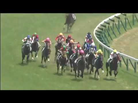 2018.06.03 2yo Newcomer (JPN) - Gran Alegria