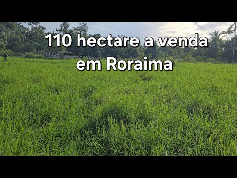 Fazendinha de 110 hectare a venda em Roraima, região de Rorainopolis 