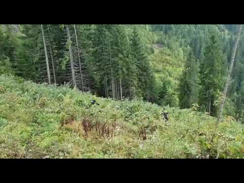 Activități de scotocire a zonei în care s-a produs agresiunea, Coșna