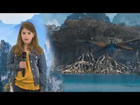 Avatar 2, dată de lansare - Gabriela Țene