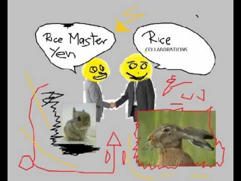 Rice Master Yen - What The Shit Called feat. Rashid Amir