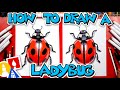 How To Draw A Realistic Ladybug