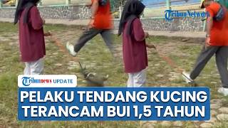 Lansia Tendang Kucing hingga Mati Terancam 1,5 Tahun Penjara & Denda Rp 50 Juta