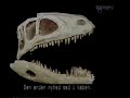 Jurassica Paleoworld UK Version Dawn Of The Dinos Part 2 And Dinosaur Doomsday