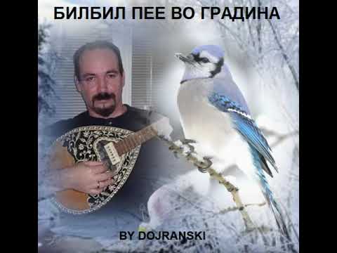 BILBIL PEE VO GRADINA  -  VANCO DOJRANLIEV