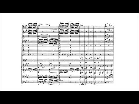 Schumann - cello concerto in A minor Op.129 (1850) III Movement