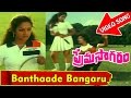 Banthaade Bangaru Video Song Prema Sagaram Telugu Movie Ramesh Nalini V9videos