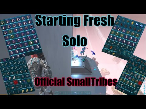 Starting Fresh Solo on Official SmallTribes Ark !! My Best Start so far. Day 1