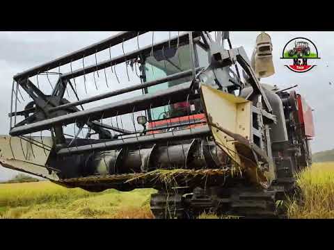 Kubota DC 93G Cabin Rice Harvester Machine, Japan Technology Machine freelance in Cambodia