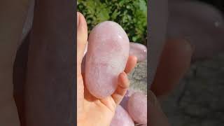 Růženín 490g
