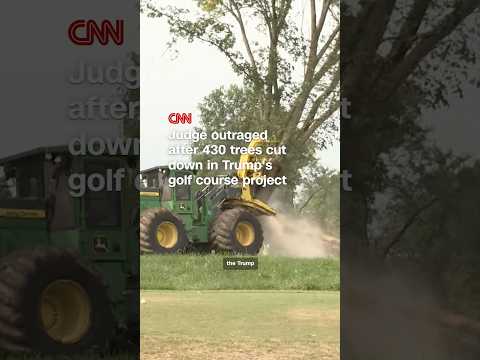 Judge outraged after 430 trees cut down in Trump’s golf course project