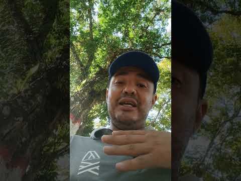 7 enero de 2026 granja el canal albania caqueta