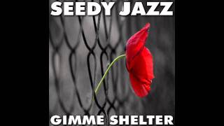 Seedy Jazz - System Noise
