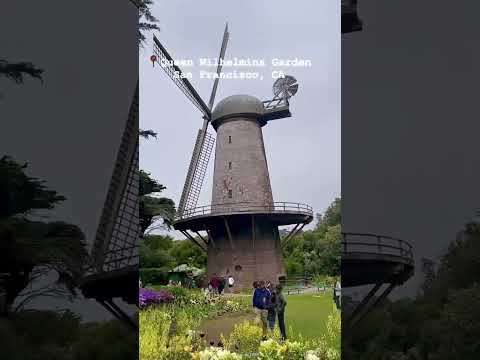 Queen Wilhelmina Tulip Garden, San Francisco