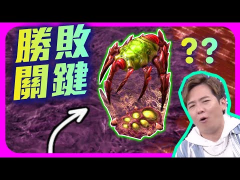 【精彩賽事.EP60】久違的Oliveira！激戰老半天，一個建築物居然決定了勝敗｜【SoBaD】Lambo(蟲) vs. Oliveira(人)｜ Kung Fu Cup