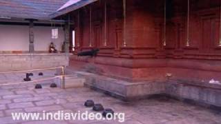 Sree Sundareswara Temple, Kannur 