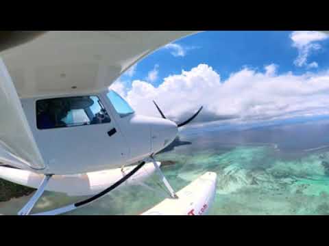 Bernd Woehling Full Video injected