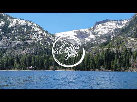 Einmusik & Lexer - Leave You (Feat. Jyll)