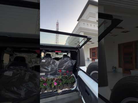 #nature #kudrat #flowers #plantation #plants #vibes