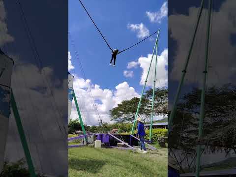 saludos desde Isnos Huila #aves #nature #humor