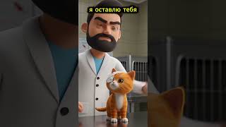 пиратский кот#шорты#истории#собака#кошки