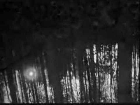 ILDJARN - Forest Poetry