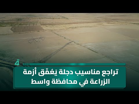 فيديو | تراجع مناسيب دجلة يَعُمِّق أزمة الزراعة في محافظة واسط