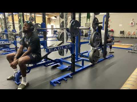 Spring cut Day 57 (Chest/Shoulder)