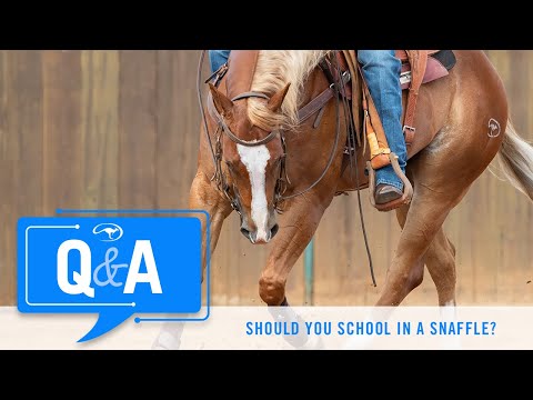 Should You School a Finished Horse in a Snaffle? - Q&A With Clinton Anderson