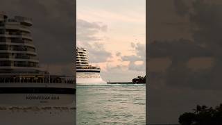 Norwegian Aqua 🛳️#like #share #comment #subscribe #cruiseship #cruise #vacation #shorts #short #wow