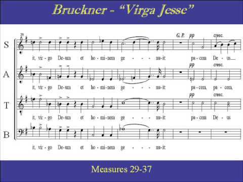Bruckner Virga Jesse Soprano Score