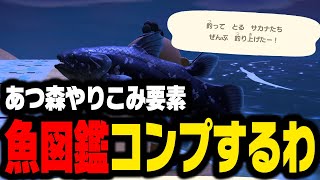 魚図鑑コンプリートしました