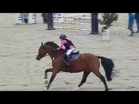 Malu (9) und Monte - A** in Zeiskam am 28.10.2018