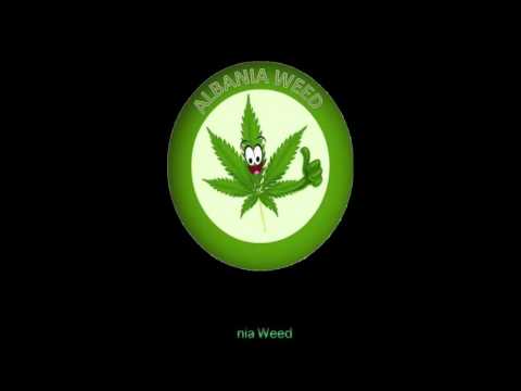 AroGanja Crew - Albania Weed