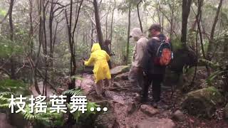 雙溪溝/梅花山健行